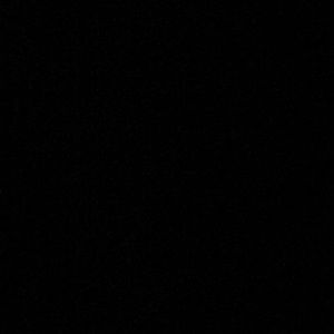 Meet your Posher, Donald